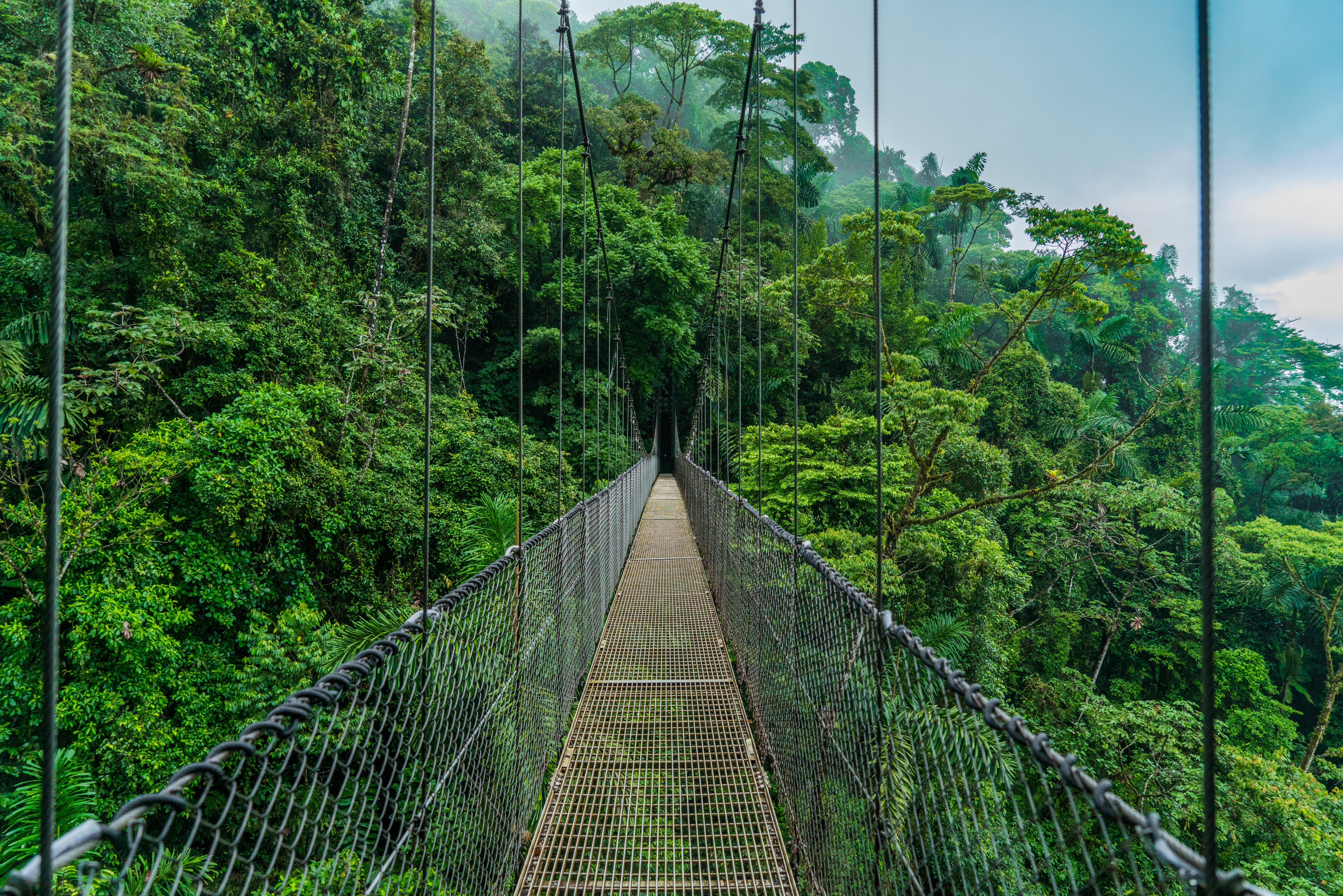 Don't look down!